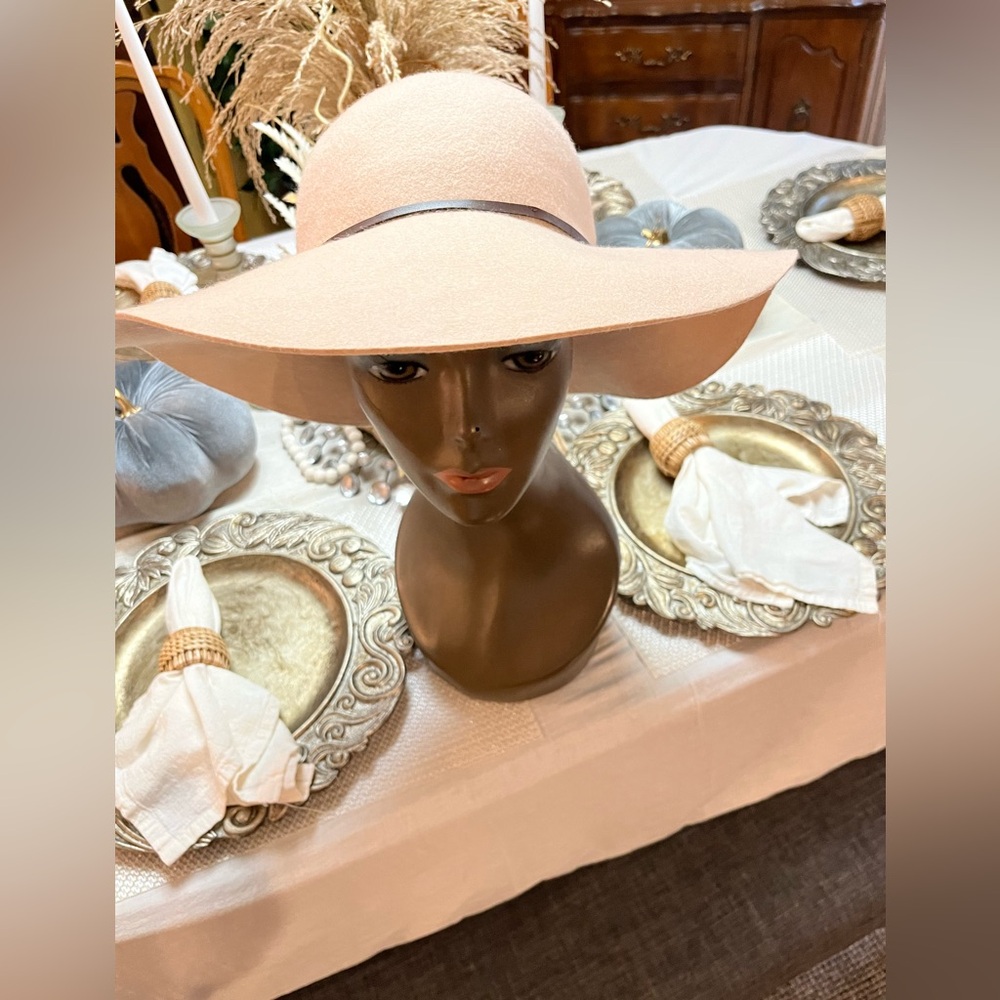 CC Wool Floppy Hat. Color: Tan with  brown Hat band. Good condition!